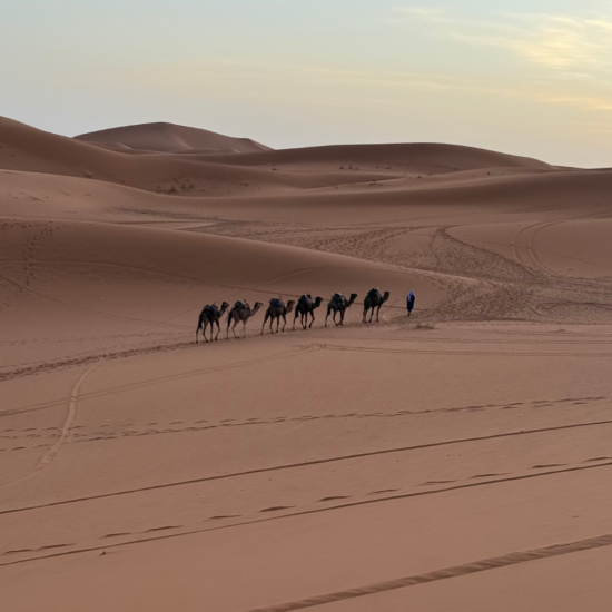 4 Days Desert Tour from Agadir to Marrakech Sahara dunes
