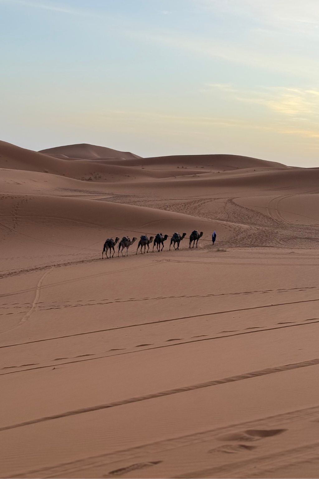 4 Days Desert Tour from Agadir to Marrakech Sahara dunes